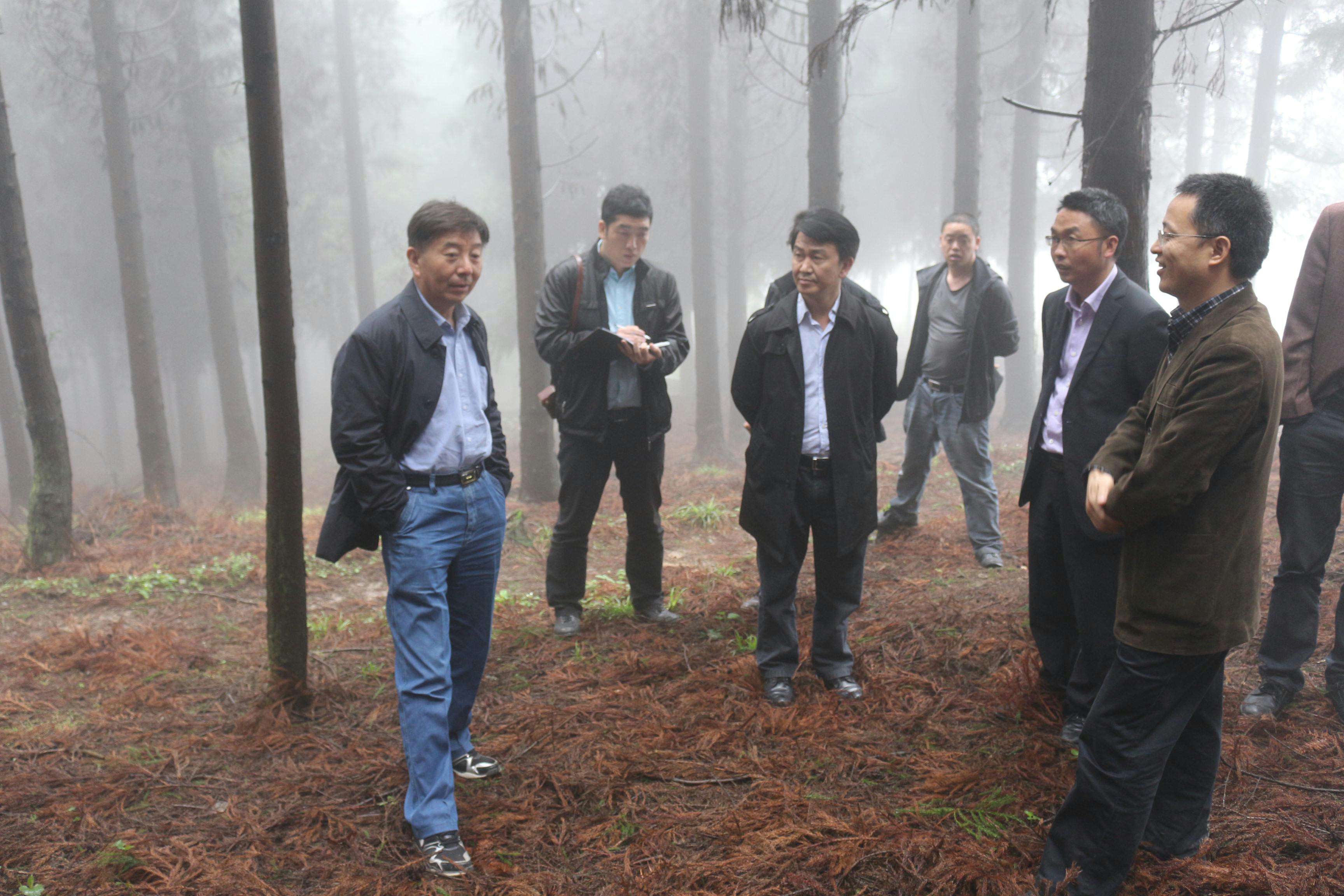 ������ҵ�ֵ��ҳ�����