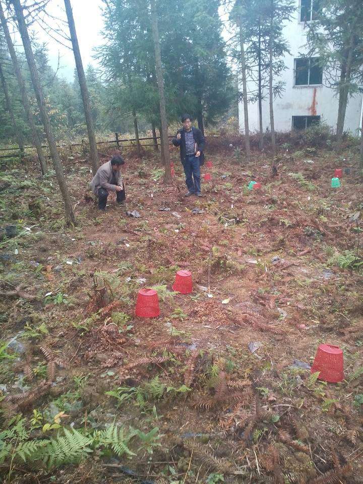 �����ϴ�ѧ��չ�ž�����