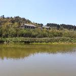 �ư���ʪ��